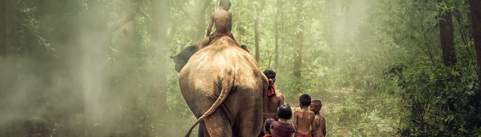 elephant-cambodia